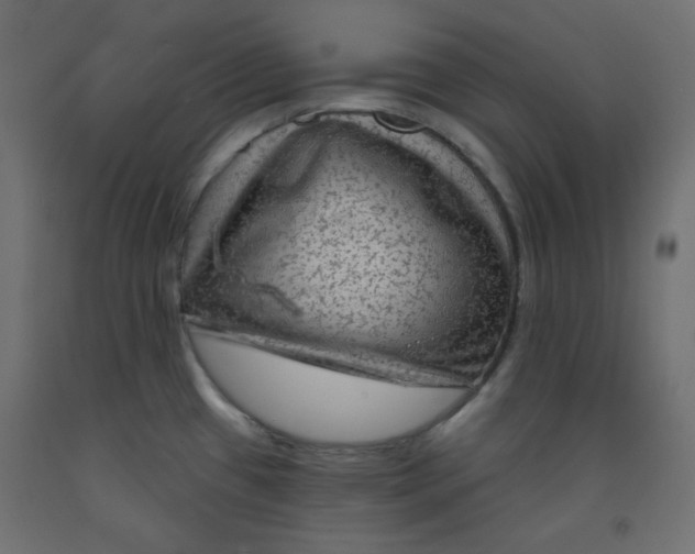 X0000091951433200710040959