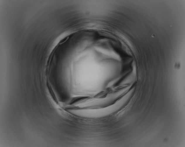 X0000091951434200710040959