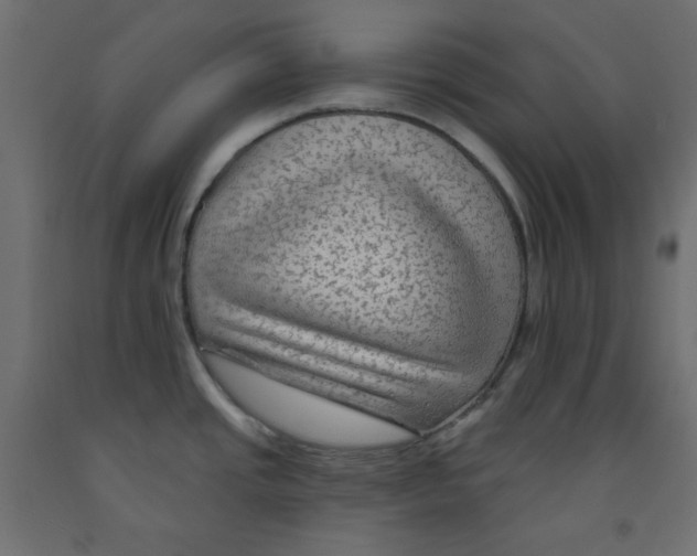 X0000091951437200710040959