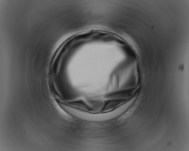 X0000091951438200710040959