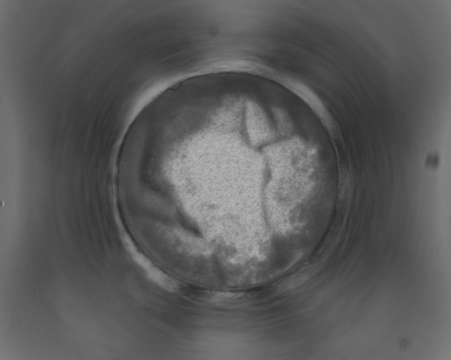 X0000091951439200710040959