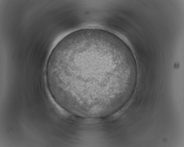 X0000091951440200710040959