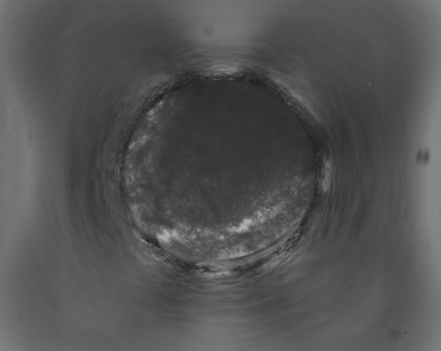 X0000091951441200710040958