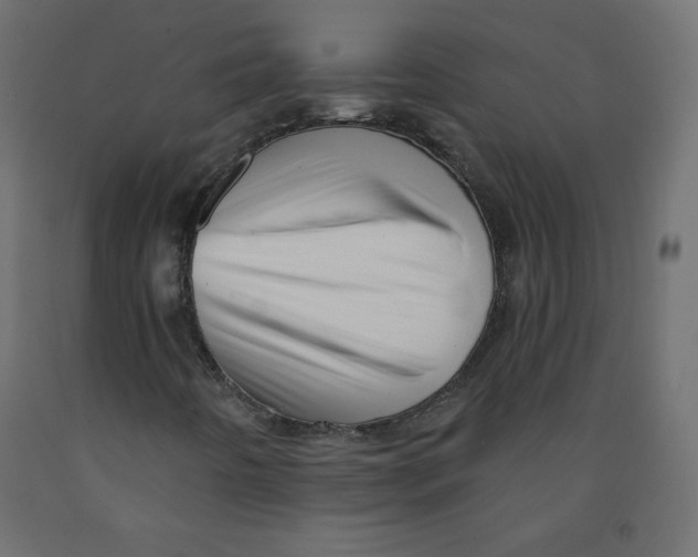 X0000091951442200710040958