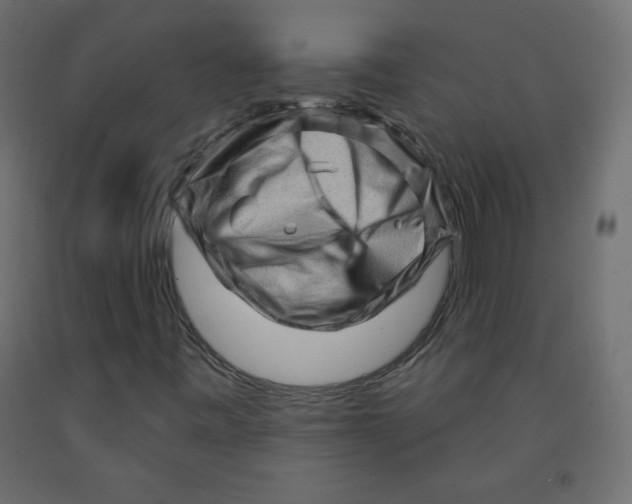 X0000091951443200710040958