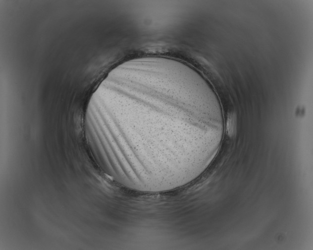 X0000091951444200710040958