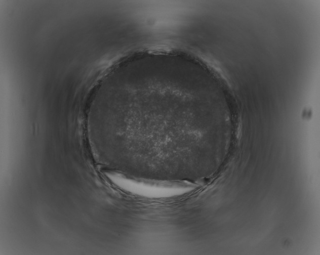 X0000091951445200710040958