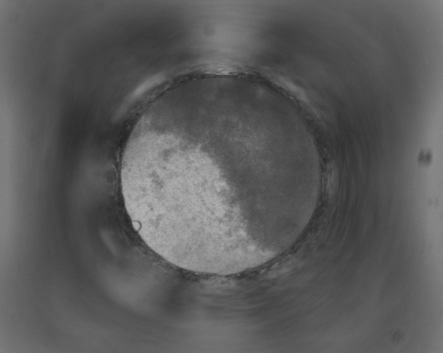 X0000091951446200710040958