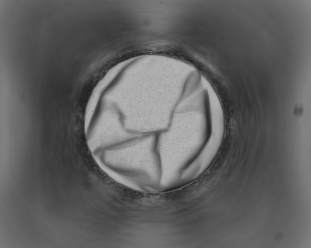 X0000091951447200710040958