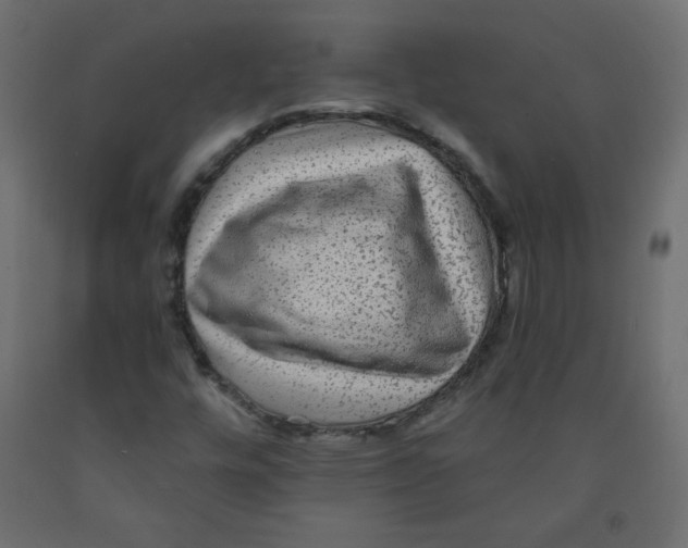 X0000091951448200710040958