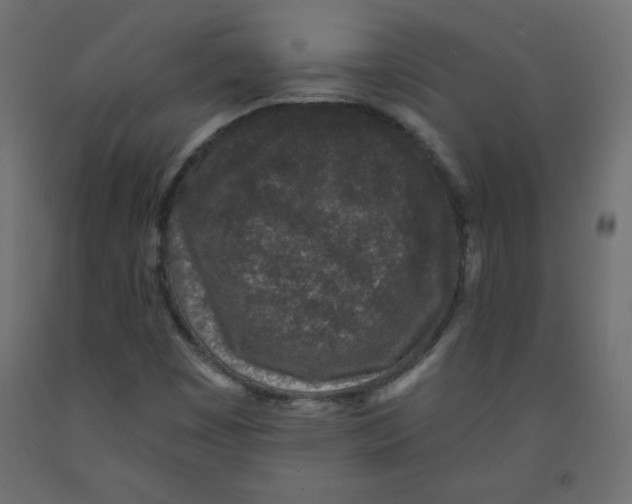 X0000091951449200710040958