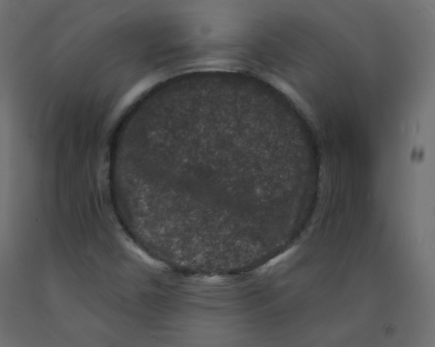 X0000091951450200710040958