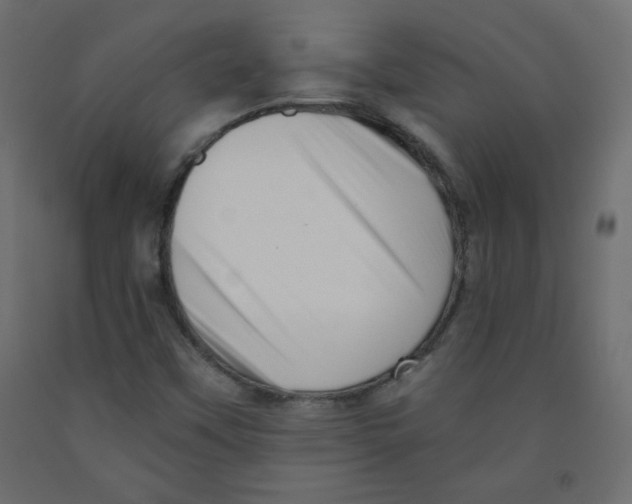 X0000091951451200710040958