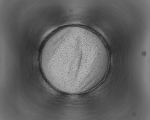 X0000091951452200710040958