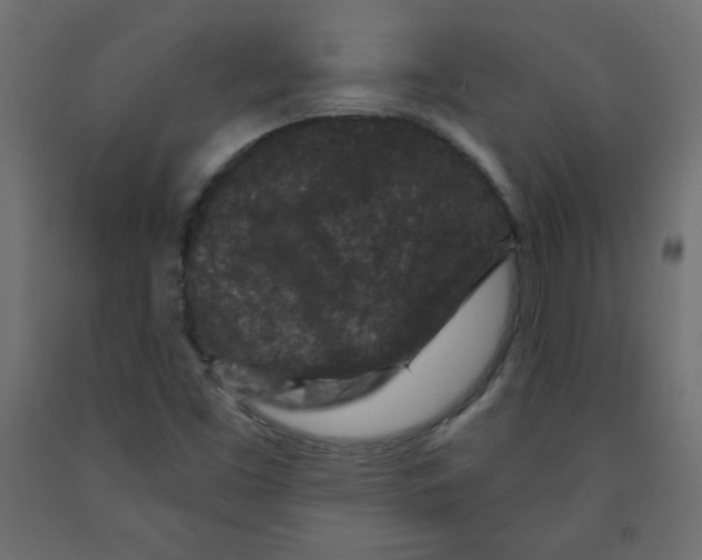 X0000091951453200710040958