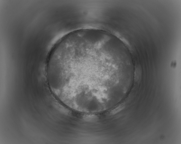 X0000091951454200710040958