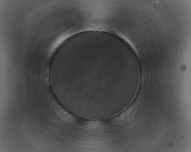 X0000091951455200710040958