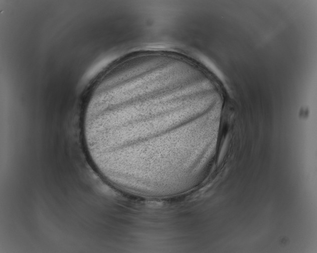 X0000091951456200710040958