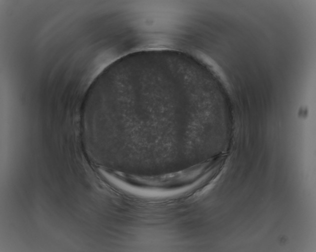 X0000091951457200710040958