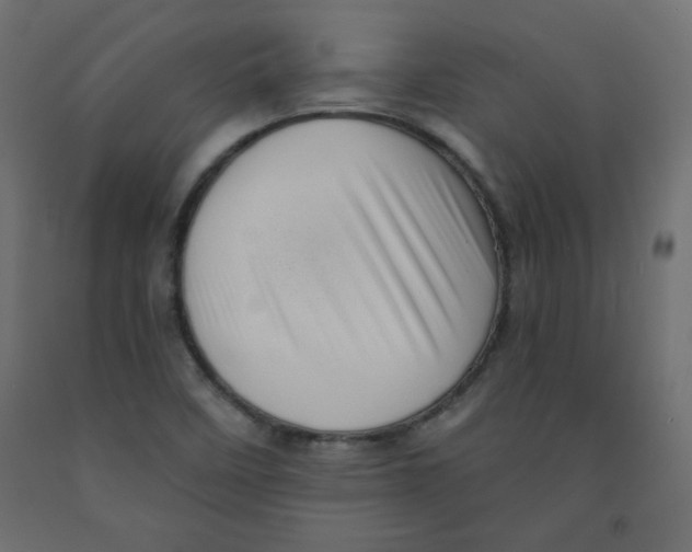 X0000091951458200710040958