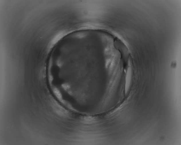 X0000091951459200710040958