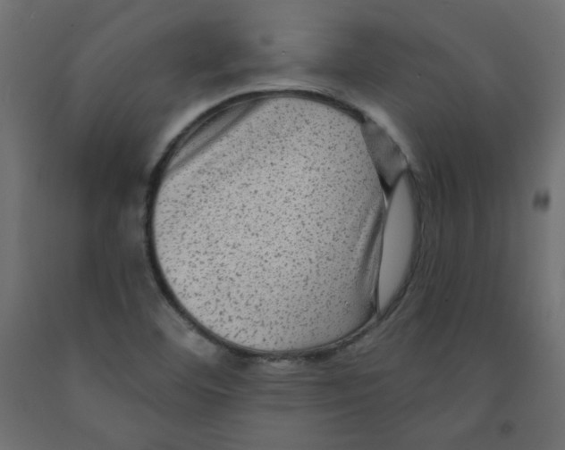 X0000091951460200710040958