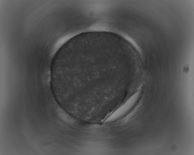 X0000091951461200710040958