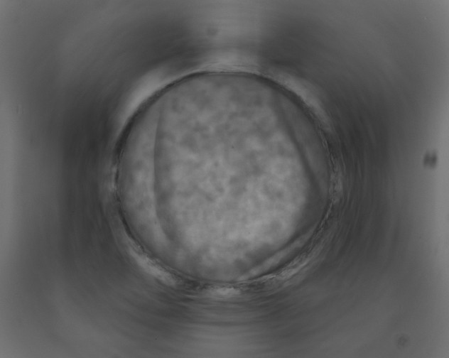 X0000091951462200710040958