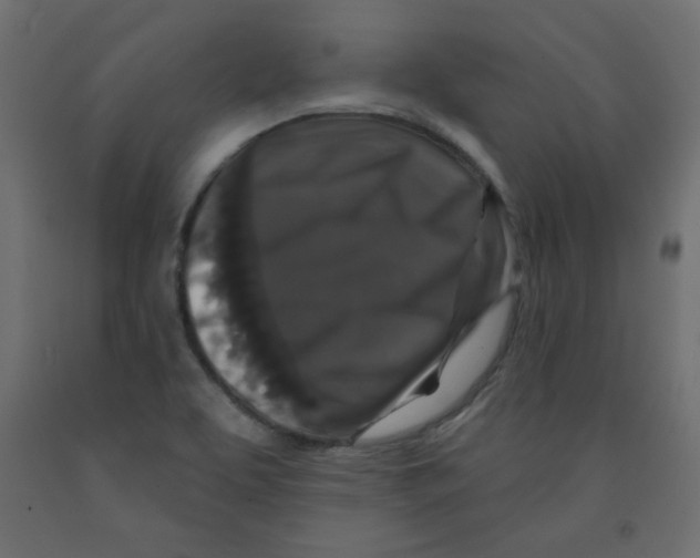 X0000091951463200710040958