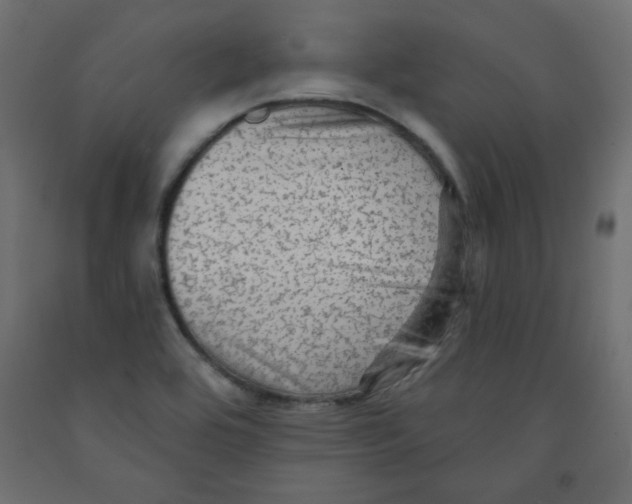 X0000091951464200710040958