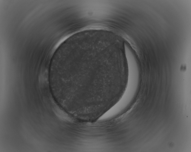 X0000091951465200710040958