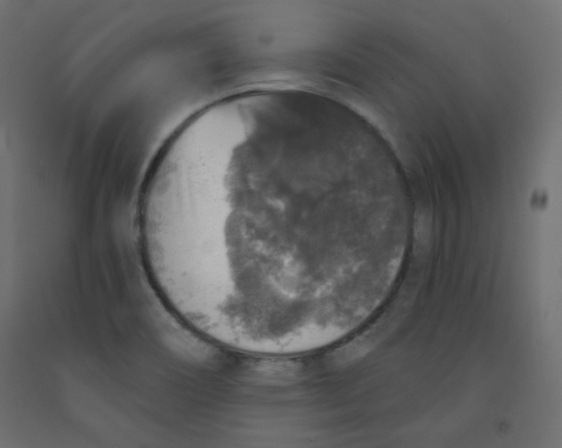 X0000091951466200710040958