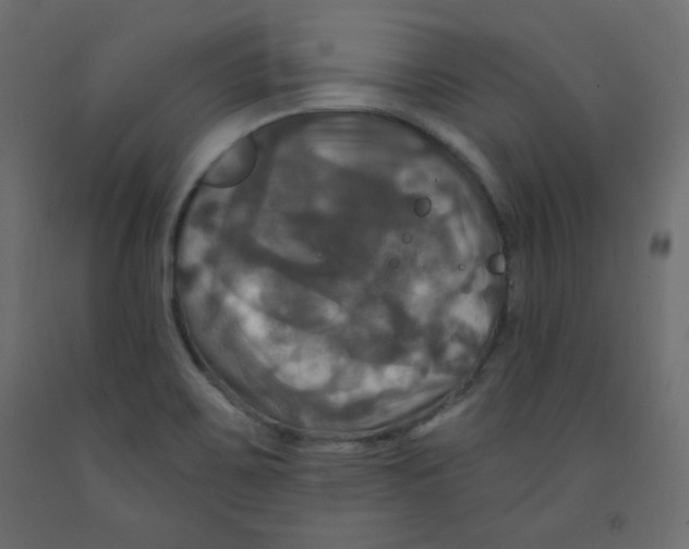 X0000091951467200710040958