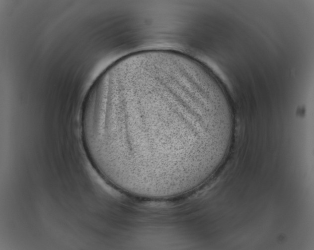 X0000091951468200710040958