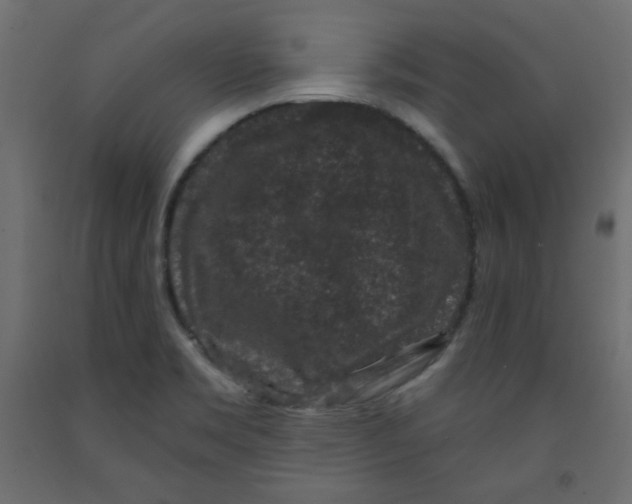 X0000091951469200710040958