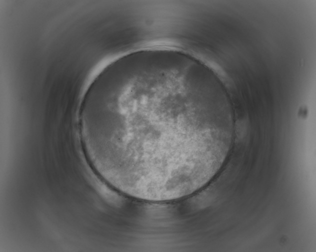 X0000091951470200710040958