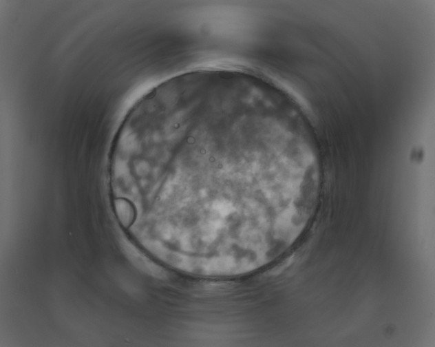 X0000091951471200710040958