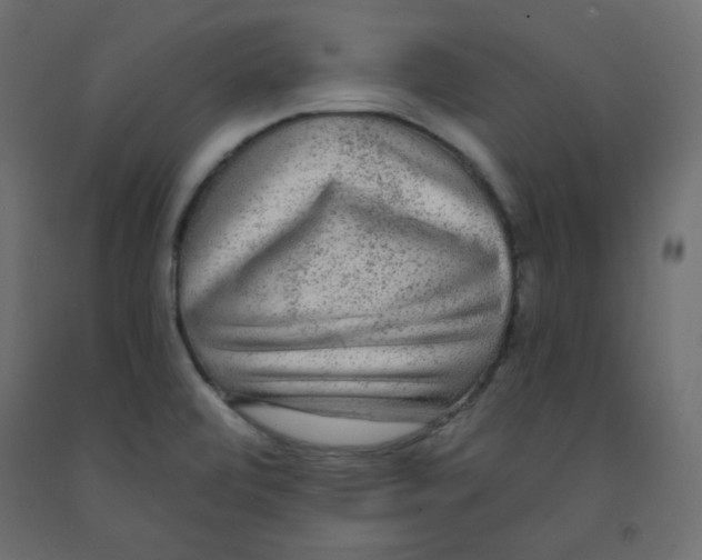 X0000091951472200710040958