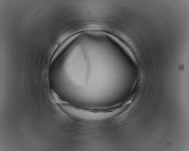 X0000091951473200710040958