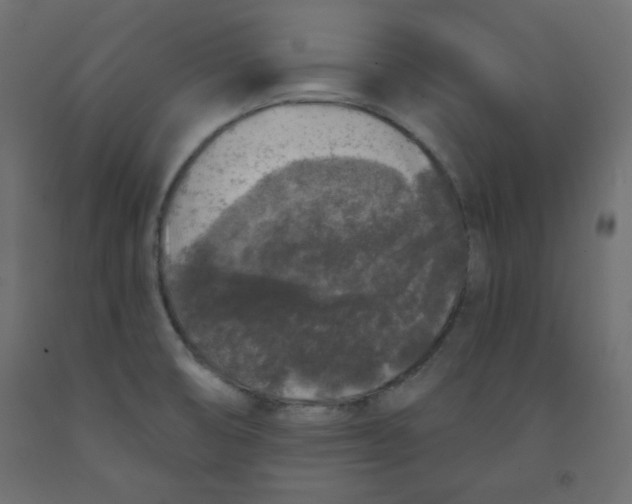 X0000091951474200710040958