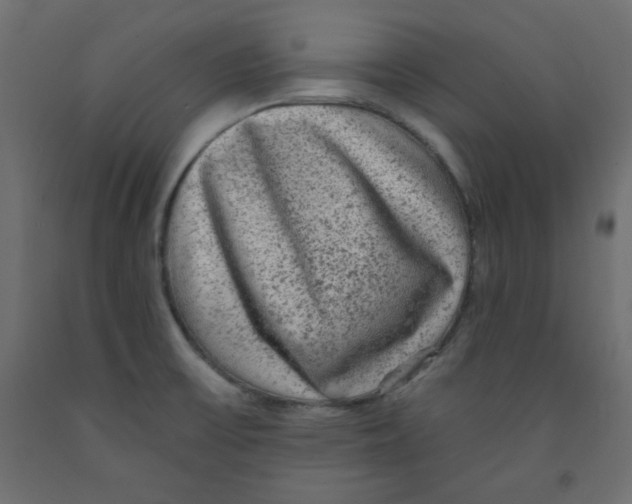 X0000091951475200710040958