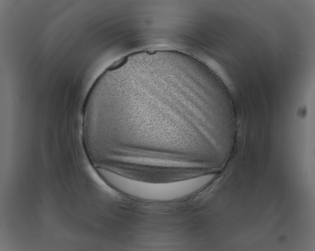 X0000091951476200710040958