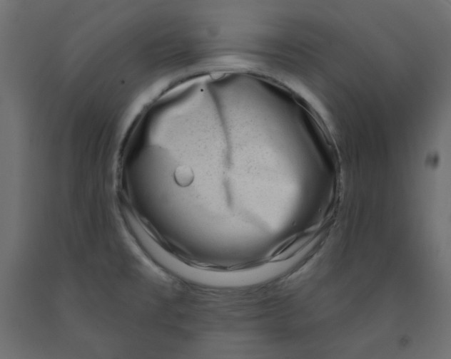 X0000091951477200710040958