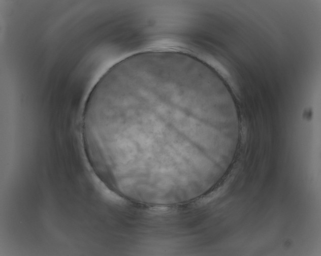 X0000091951478200710040958