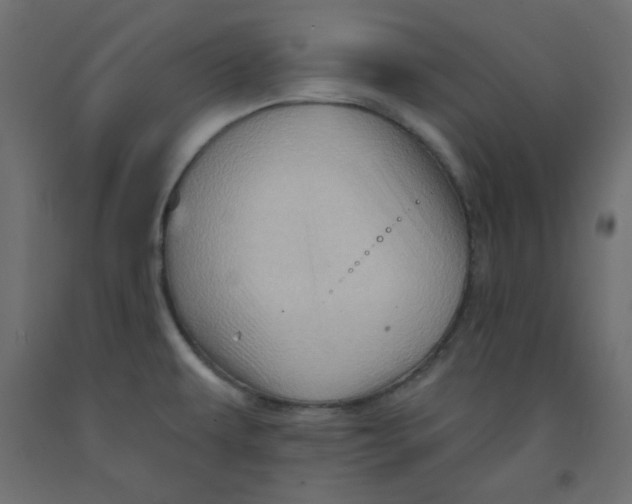 X0000091951479200710040958