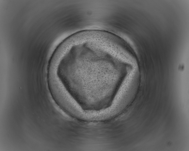 X0000091951480200710040958