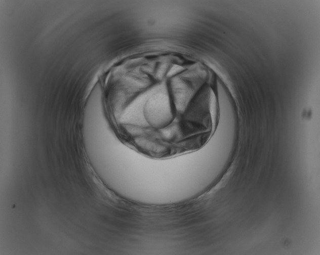 X0000091951481200710040958