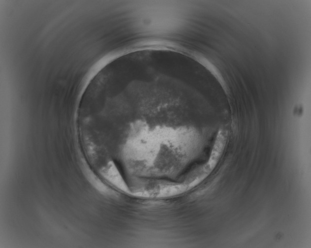 X0000091951482200710040958