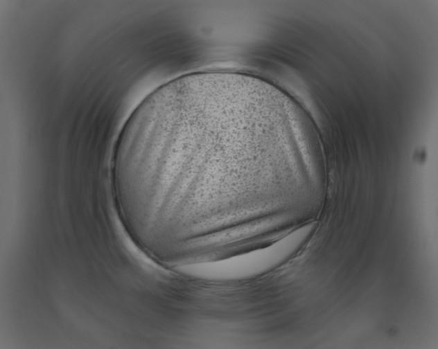 X0000091951483200710040958