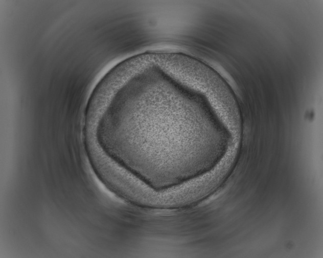 X0000091951484200710040958